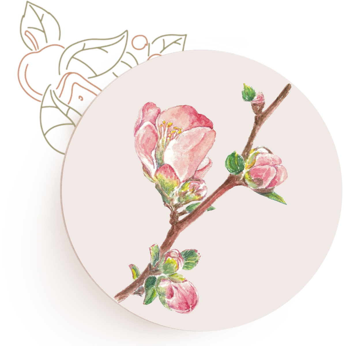 Quince