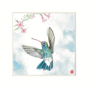 Hummingbird-Dancing
