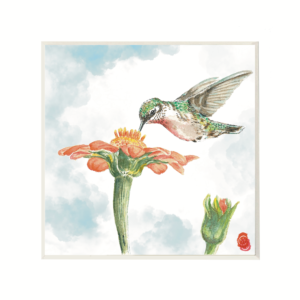 Hummingbird-and-Mexican-Sun