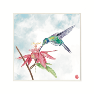 Hummingbird-and-Passion-Flower
