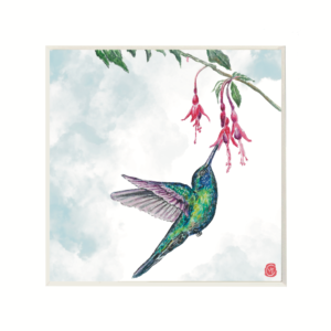 Hummingbird-with-Fuchsia
