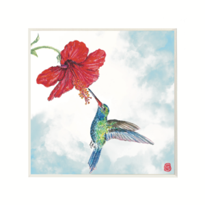 Hummingbird and Red Hibiscus